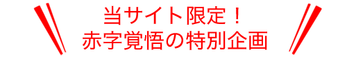 当サイト限定！赤字覚悟の特別企画